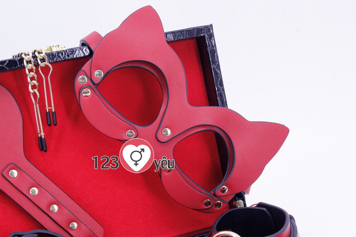 Bộ 8 món đồ chơi bạo dâm cao cấp sang trọng giúp tăng khoái cảm