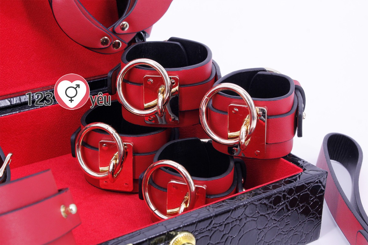 Bộ 8 món đồ chơi bạo dâm cao cấp sang trọng giúp tăng khoái cảm