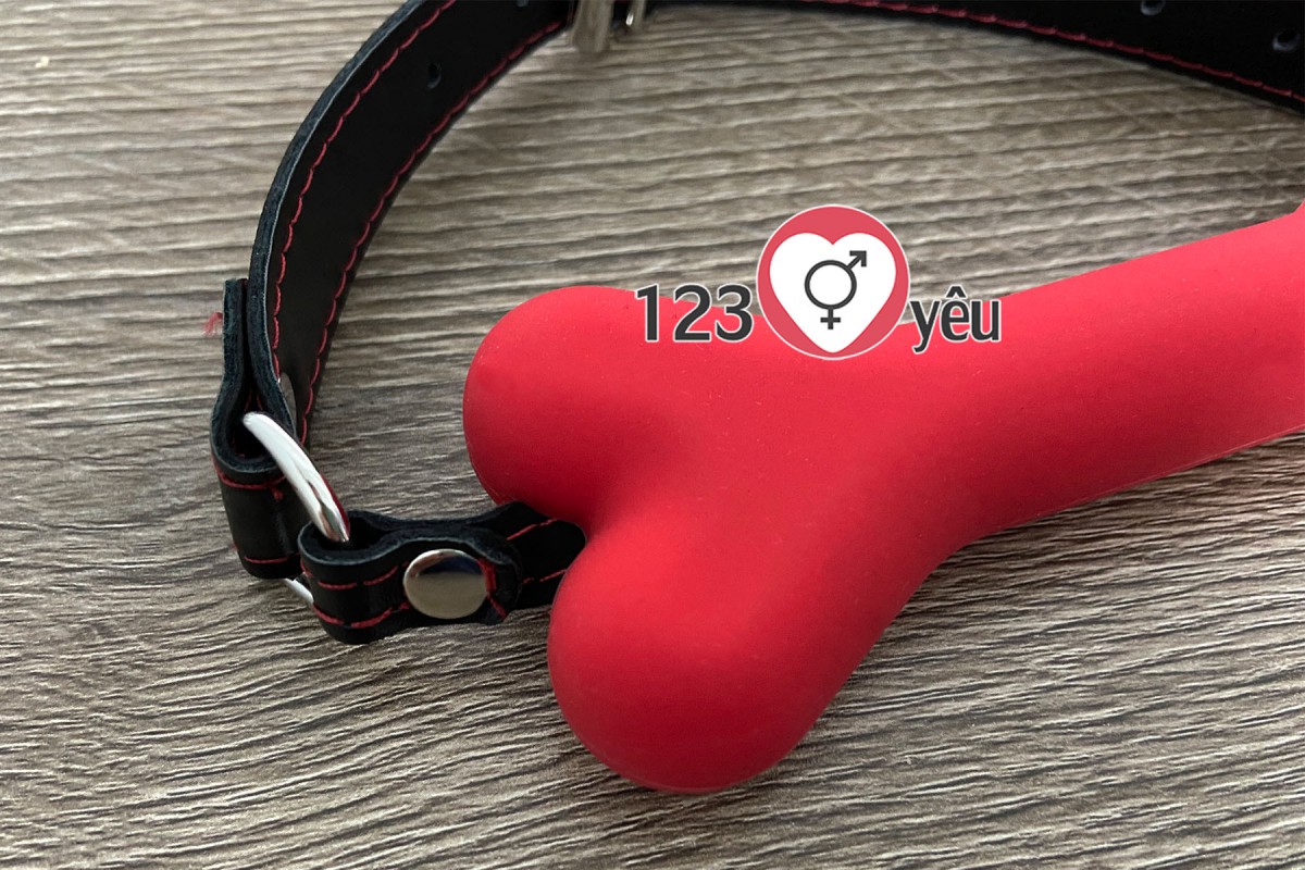 Dụng cụ bạo dâm khóa miệng silicon + da cao cấp cảm giác mới lạ Dụng cụ bạo dâm khóa miệng silicon + da cao cấp cảm giác mới lạ