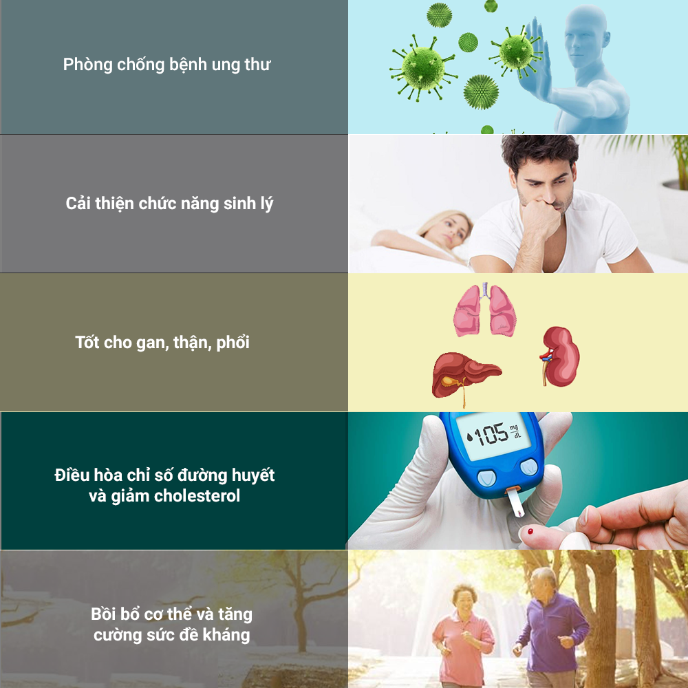 Đông trùng hạ thảo Toro sấy thăng hoa cải thiện sinh lý nam bồi bổ