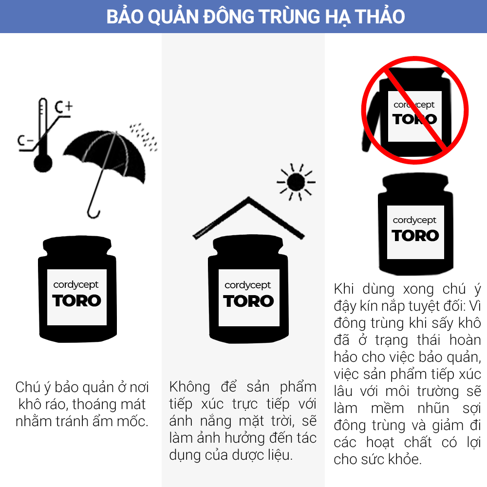 Đông trùng hạ thảo Toro sấy thăng hoa cải thiện sinh lý nam bồi bổ