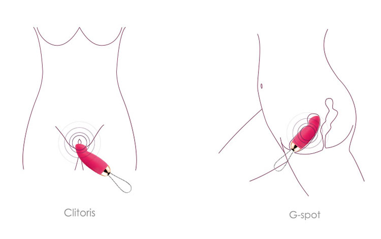 Trứng rung điều khiển xa Svakom IVY silicon cao cấp đa chế độ rung