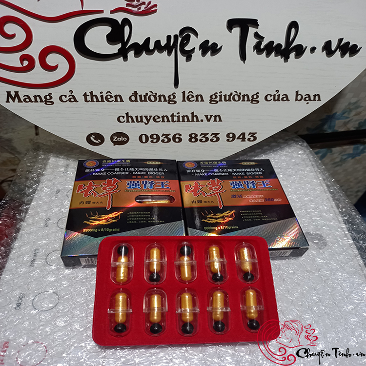 Đông trùng hạ thảo Kim Sơn Tây Tạng bổ thận tráng dương cực tốt