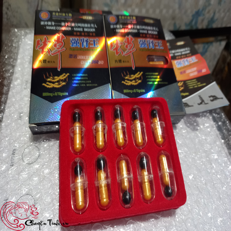 Đông trùng hạ thảo Kim Sơn Tây Tạng bổ thận tráng dương cực tốt