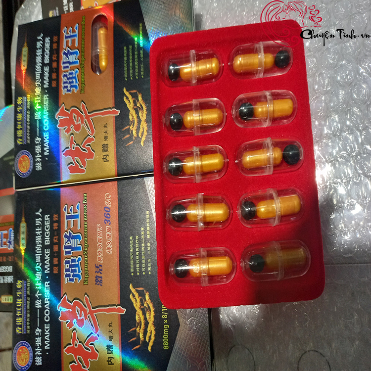 Đông trùng hạ thảo Kim Sơn Tây Tạng bổ thận tráng dương cực tốt