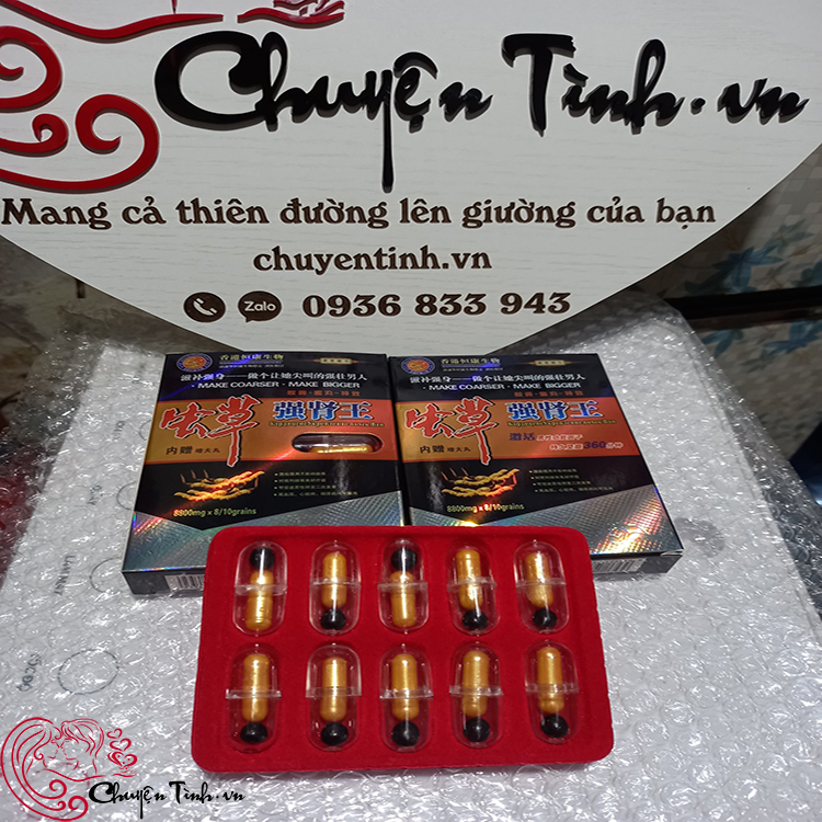 Đông trùng hạ thảo Kim Sơn Tây Tạng bổ thận tráng dương cực tốt