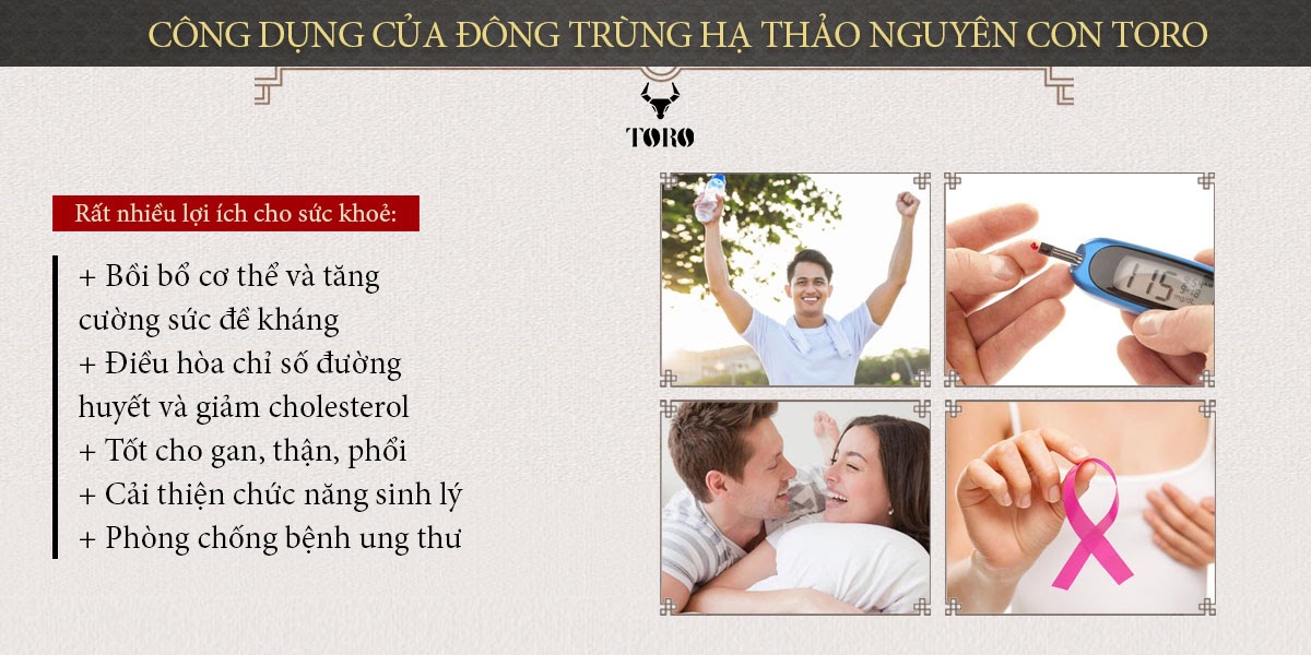 Đông trùng hạ thảo nguyên con tăng sinh lý bồi bổ