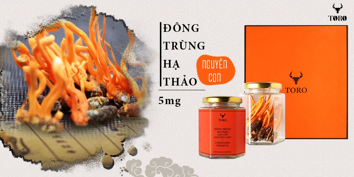 Đông trùng hạ thảo nguyên con tăng sinh lý bồi bổ