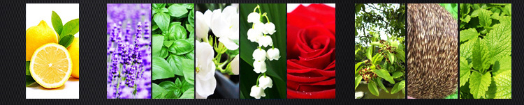 Nước hoa quyến rũ Blue de Diluoya cho phái mạnh chinh phục nàng