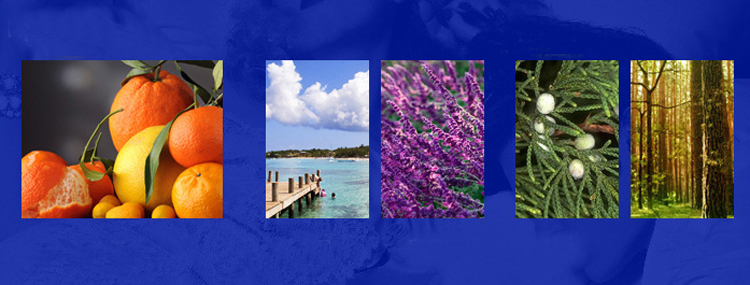 Nước hoa Ardor for Him pheromone hấp dẫn nam quyến rũ phái đẹp