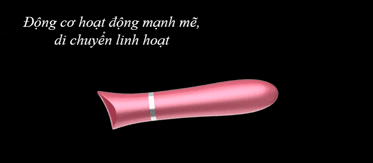 Thanh rung massage EVO Crown nhỏ xinh kích thích điểm G Thanh rung massage EVO Crown nhỏ xinh kích thích điểm G
