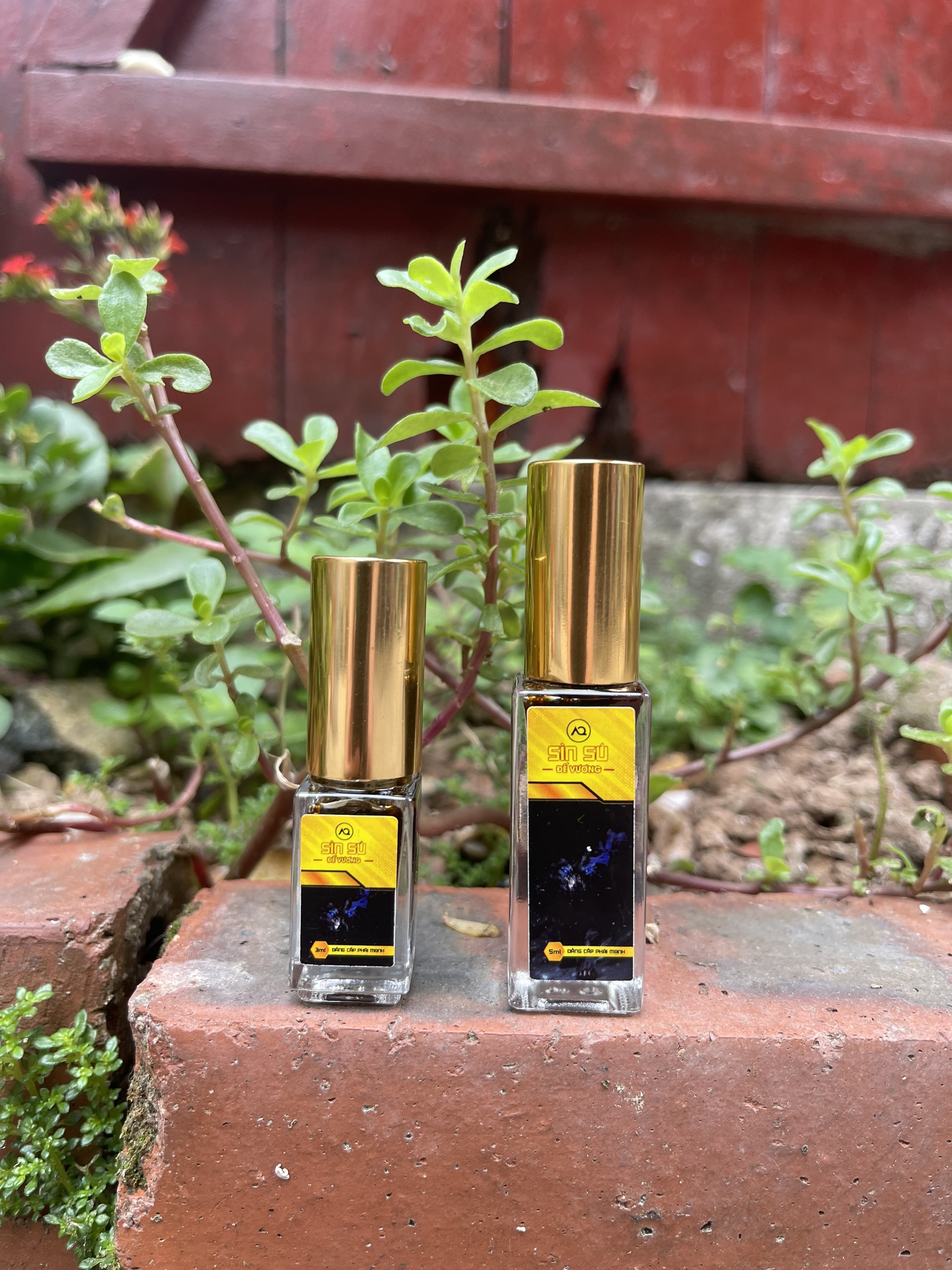 Sỉ Cao Sìn sú Đế Vương dạng xịt chính hãng từ thảo dược Ê Đê Việt Nam giá sỉ Sỉ Cao Sìn sú Đế Vương dạng xịt chính hãng từ thảo dược Ê Đê Việt Nam giá sỉ