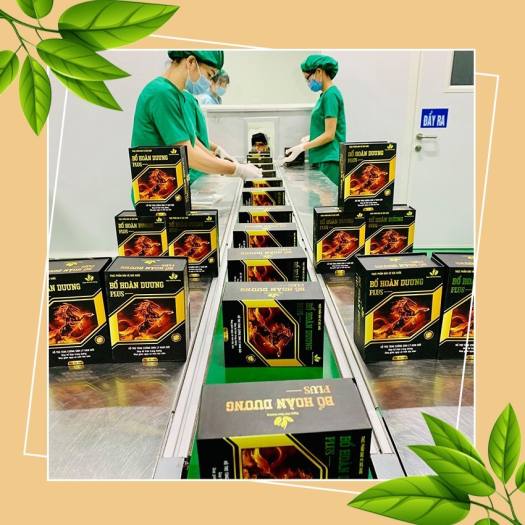 Thảo Dược Sinh Lý Nam Bổ Hoàng Dương Plus Tăng Cường Sinh Lý, Bổ Thận