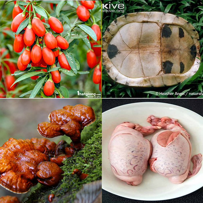 Viên uống tăng sinh lý nam Vegetal Viagra Mỹ nhân sâm lông nhung ganoderma