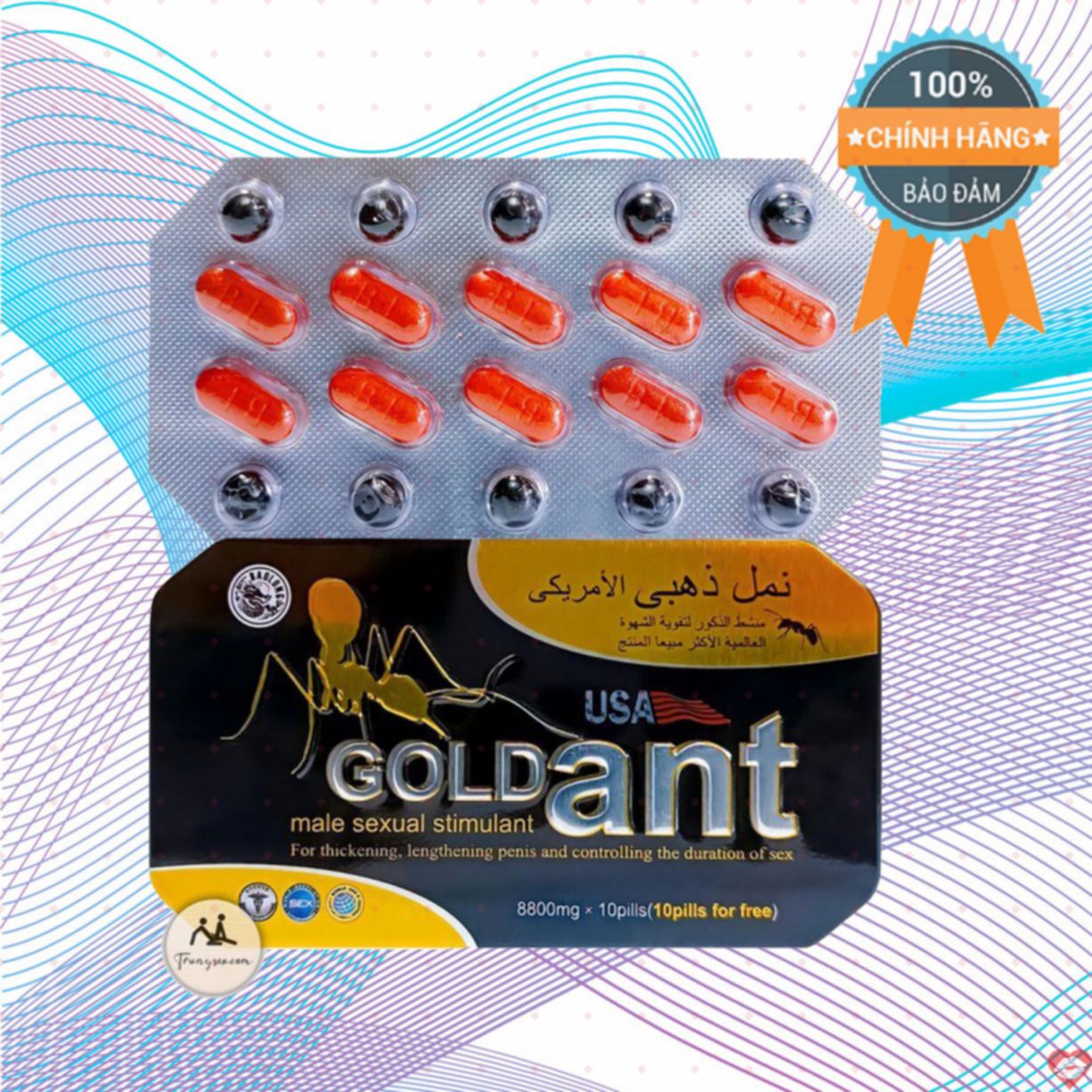 Nhập sỉ Gold Ant USA chính hãng cường dương kéo dài thời gian - Kiến Vàng Đen Tây Tạng tốt nhất