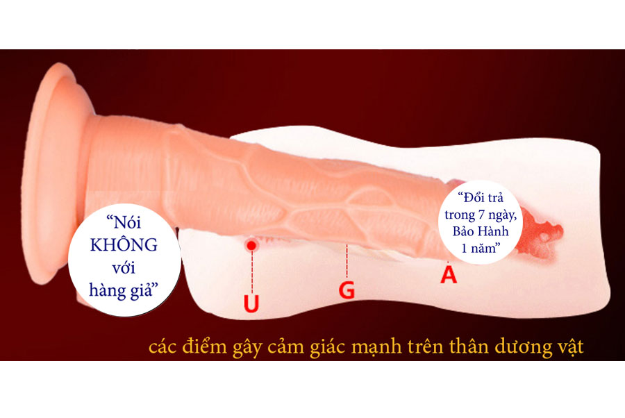  Bảng giá Dương vật giả hít tường rung lắc cực đỉnh có tốt không?